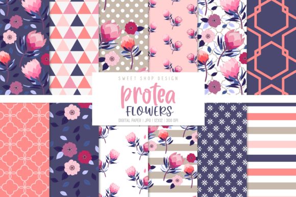 Digital Paper Protea Flowers for Creative Workflows