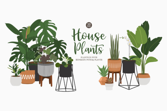 Indoor House Plant Clip Art: A Strategic Tool for Creative and Professional Success